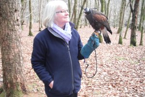 Hawk Walk in Brecon Beacons